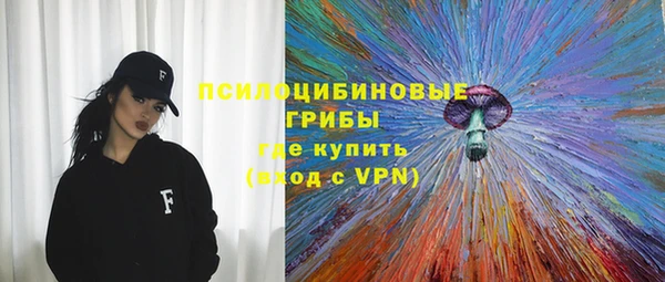 ПСИЛОЦИБИНОВЫЕ ГРИБЫ Беломорск