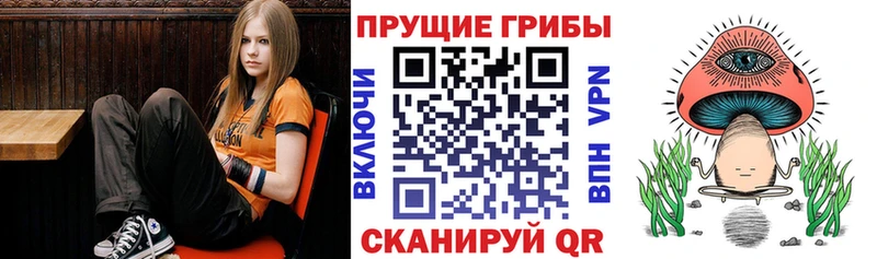 Галлюциногенные грибы мухоморы  Купить закладки  Междуреченск 